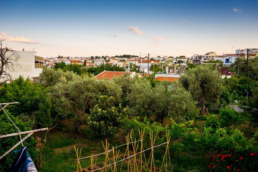 Act Art Skiathos Kültér fotó